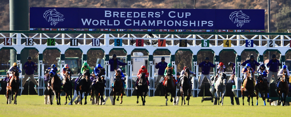 Breeders Cup Tip Sheets